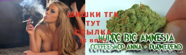 PSILOCYBIN Магас