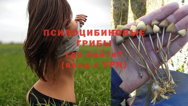 каннабис Майский