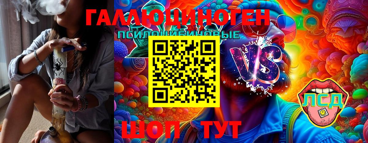 Галлюциногенные грибы Magic Shrooms Торжок