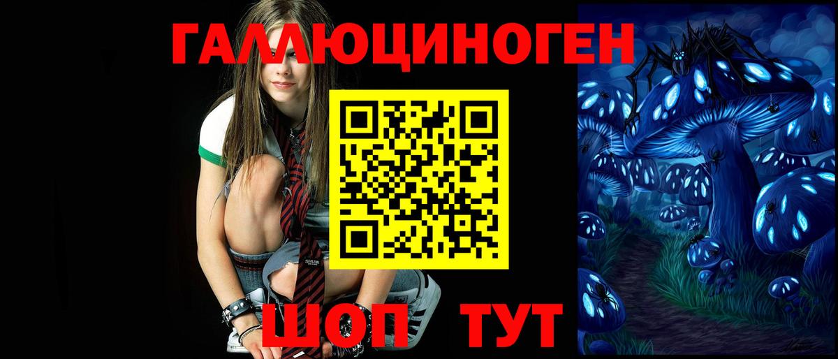 Торжок  Псилоцибиновые грибы ЛСД  Вход с VPN  Псилоцибиновые грибы прущие грибы 